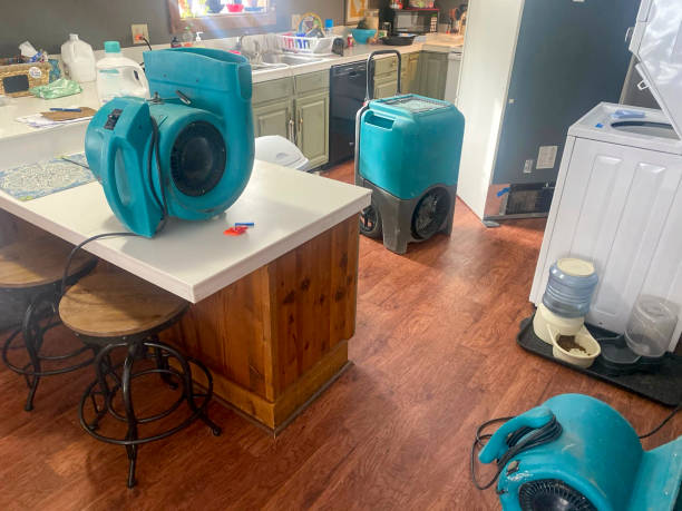 Best Basement water damage restoration  in Drain, OR