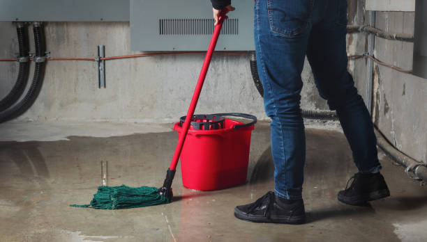 Best Water damage restoration specialists  in Drain, OR