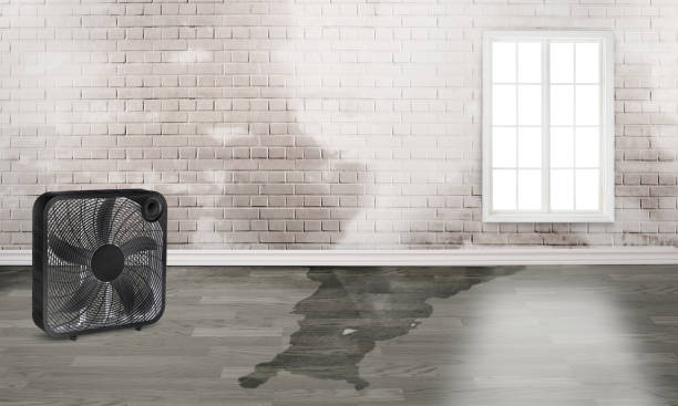 Best Ceiling water damage repair  in Drain, OR