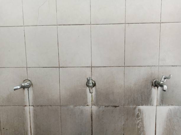 Best Water damage restoration process  in Drain, OR