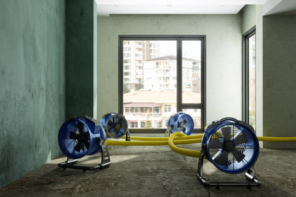 Best Water damage restoration near me  in Drain, OR
