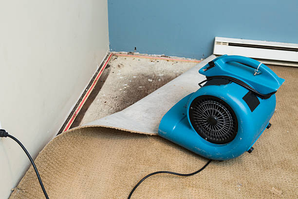 Best Water damage restoration near me  in Drain, OR